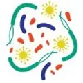 Siolta Therapeutics