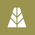 Agora