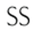 StyleSaint