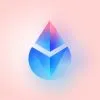 Lido FinTech