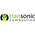 Transonic Combustion