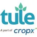 Tule