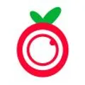 Orchard