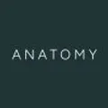 Anatomy Financial