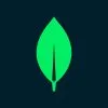 MongoDB