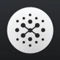 Particle