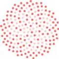 Intelligence Node