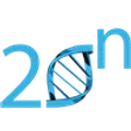 20n