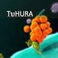 TuHURA Biopharma